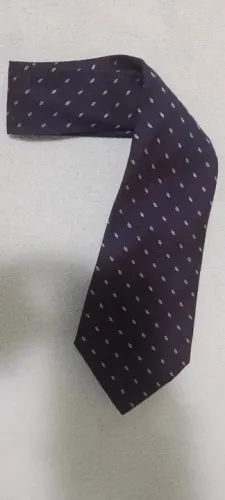 Gravata Roxa