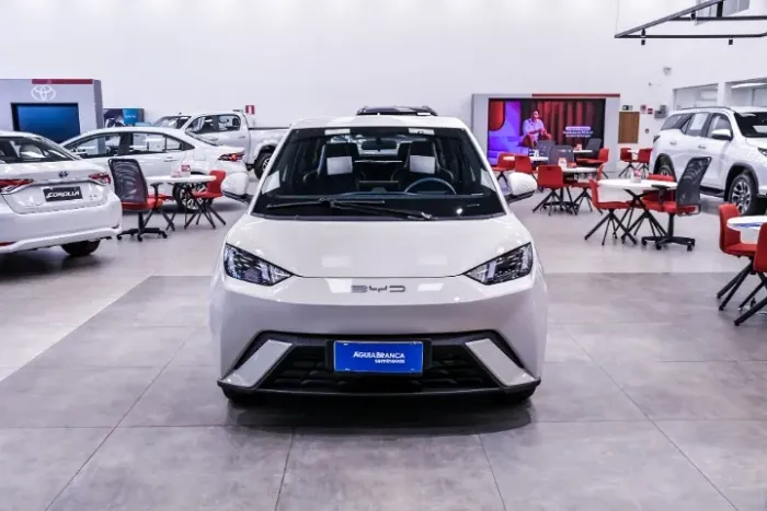 BYD Dolphin Mini (Elétrico) 2025