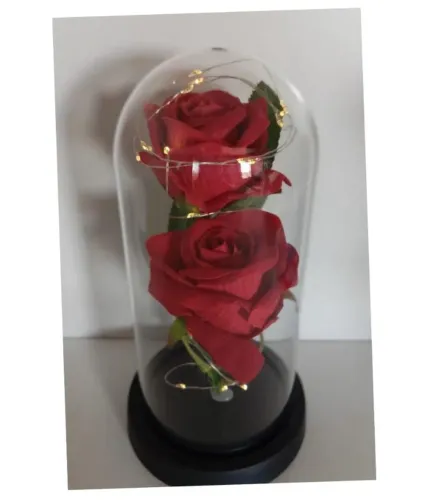 Luminária Cúpula Rosa Encantada