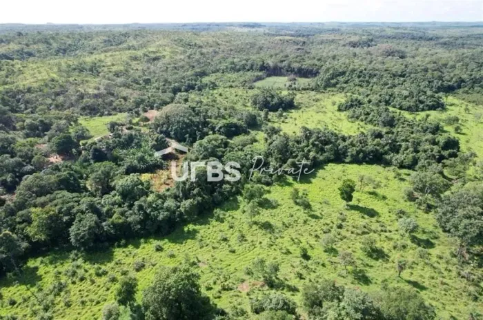 Fazenda - Chácara