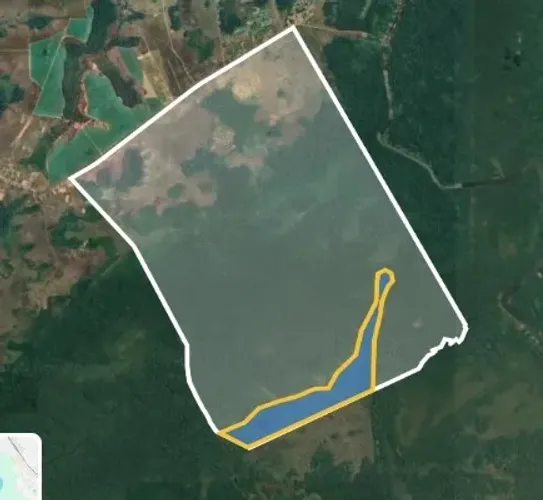 Fazenda 2.850 ha - Documentada, Plana e Frente Asfalto - Macapá/AP