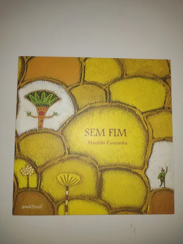 Livro literário "sem fim" de Marilda Castanha -usado em excelente estado-
