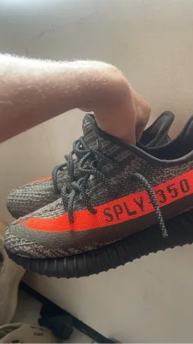 yeezy 350 carbon beluga og