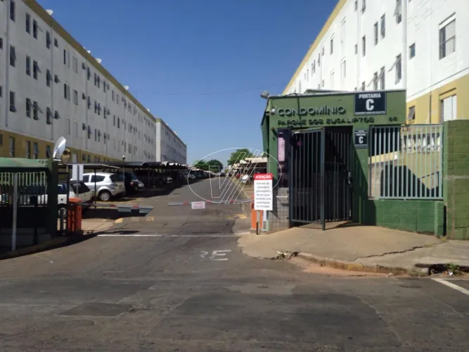 apartamento - Vila Padre Manoel de Nóbrega - Campinas