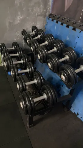 DUMBELLS 20 A 30 KG