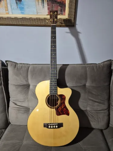 Baixolão Rozini RBX920