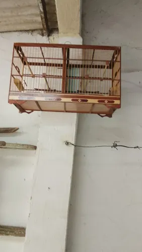 Gaiola a venda