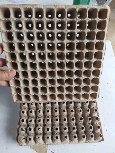 Bandejas biocompotaveis vitalizem 100 células para semeio de coentro,alface  viveiro mudas