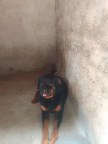 Venda e troca