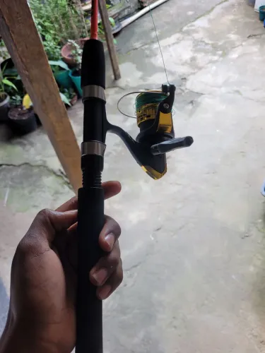 Vara de pesca 