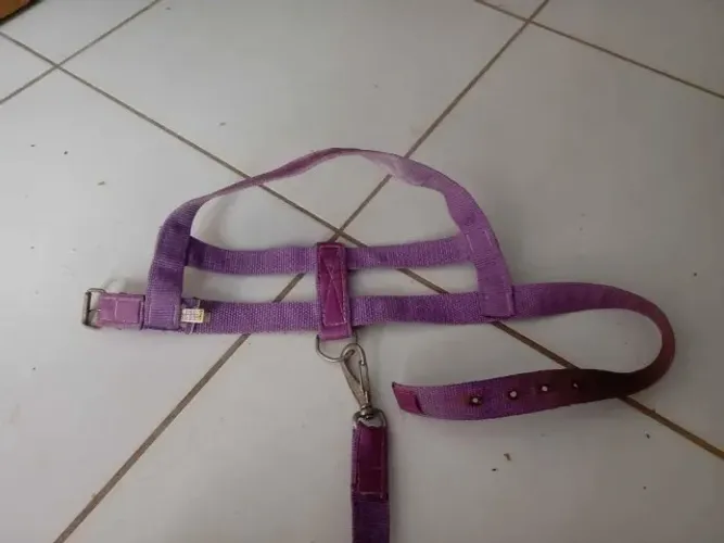 COLEIRA, GUIA PARA CACHORRO R$5,00 CADA