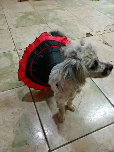Doação 