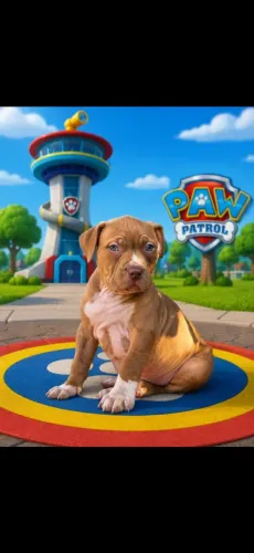 Pitbull Monster 