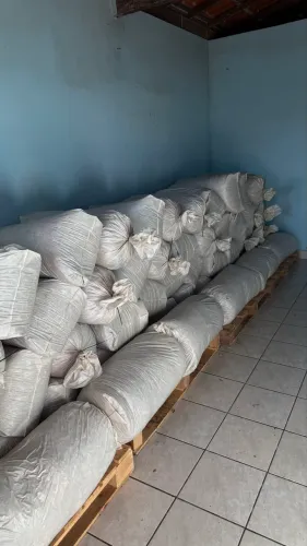 Silagem de milho e silagem de capim
