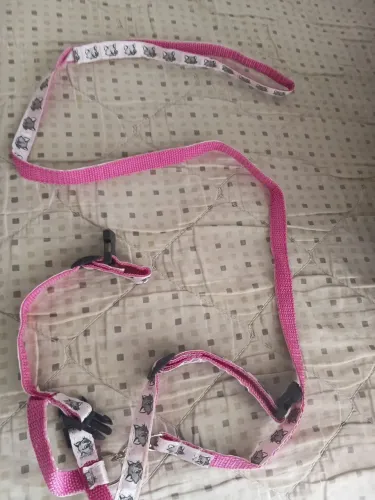 Coleira pra gato