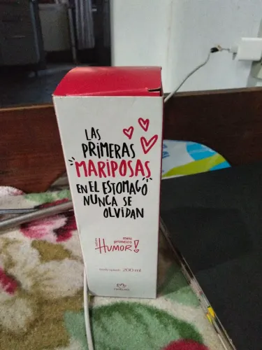 Meu primeiro humor