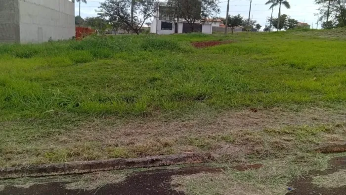 Meio terreno Jd. Nova Floresta - 8x20m - 160m²