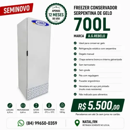 Freezer Conservador Serpentina de Gelo 700L A.G. Rebelo - Seminovo
