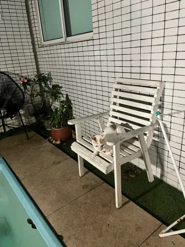 2 cadeiras de jardim