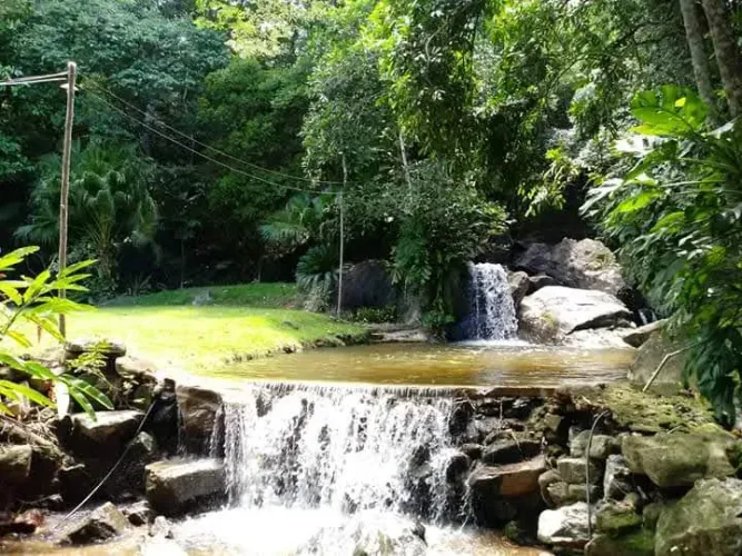 Sítio  a 7 km de Conceição  35.000 m² com Lago, Pasto e Frutíferas