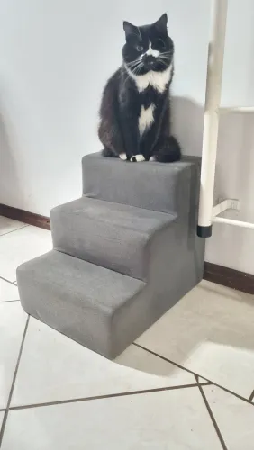 Escadinha para cachorro
