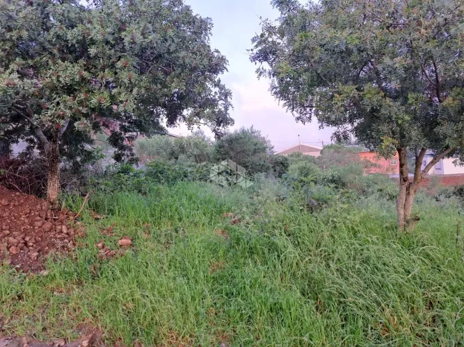 TERRENO NO BAIRRO MONTE VERDE CIDADE DE FARROUPILHA