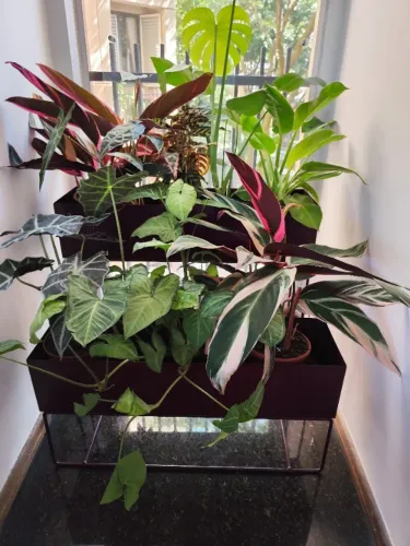 Floreira roxa