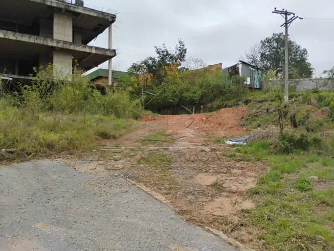 AREA COM 9.114,00 m² Boa Vista