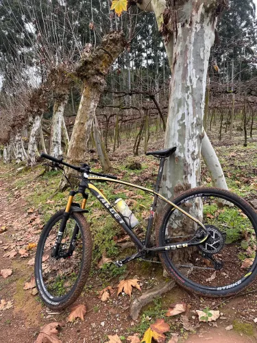 Bike aro 29 no tamanho 19