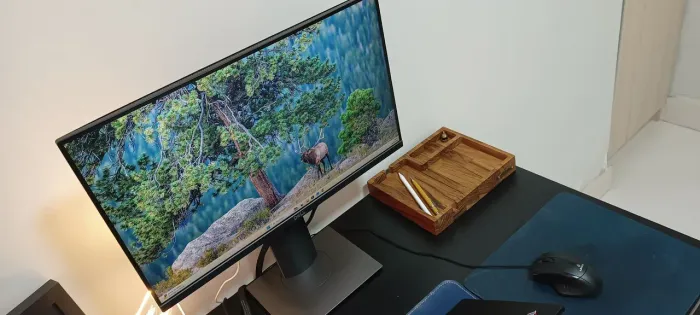 Monitor Dell 21.5" IPS Full HD P2219Hb - Ergonômico, Hub USB e Perfeito Estado