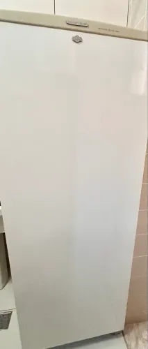 Freezer Brastemp Frost Free Clean