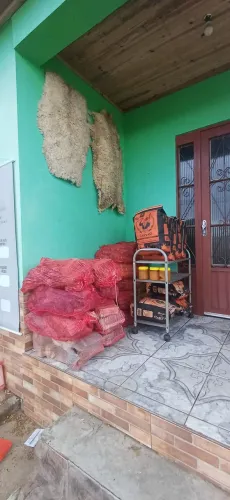 Lenha Acácia e Eucalipto 