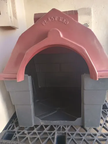 Casinha para Cachorro Grande Porte