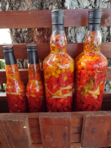 Molho de pimenta