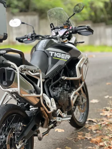 Tiger triumph 900