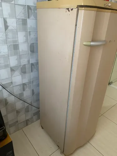 Geladeira Electrolux RDE 30 Super