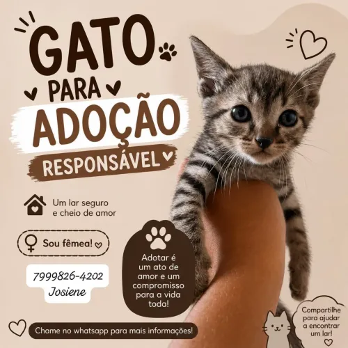 Para doação