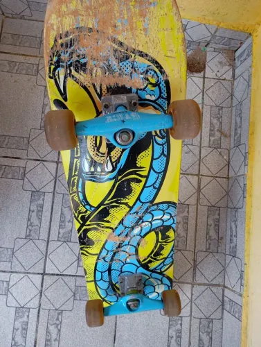Skate profissional