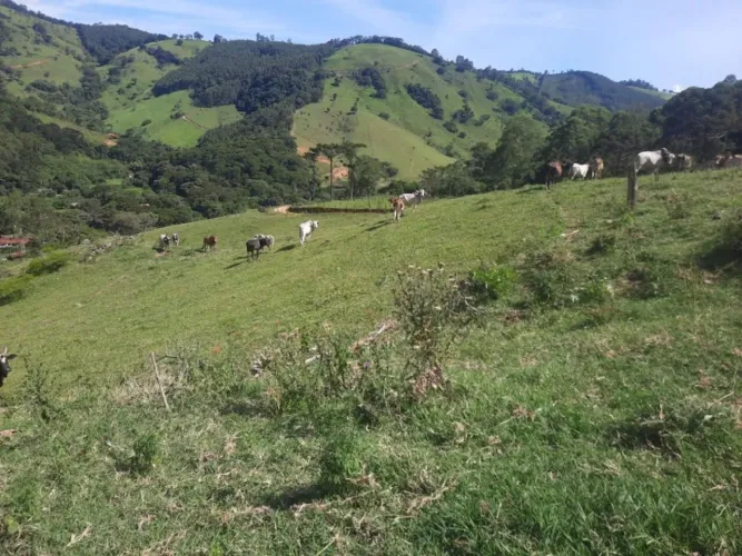 Sítio à venda, 411400 m² por R$ 1.200.000,00 - Dos Pintos - Joanópolis/SP