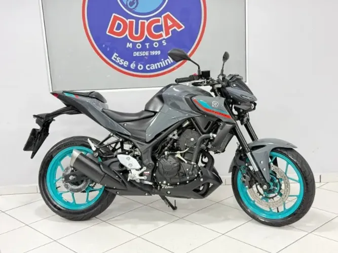 mt 03 2024 cinza