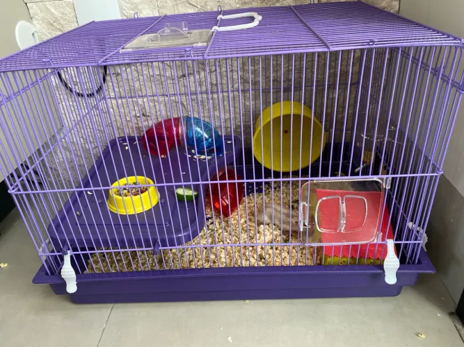 Gaiola para Hamster 