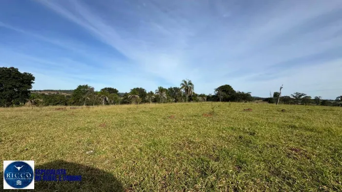 Fazenda de 48,5 alqueires à venda em Arenópolis, Goiás