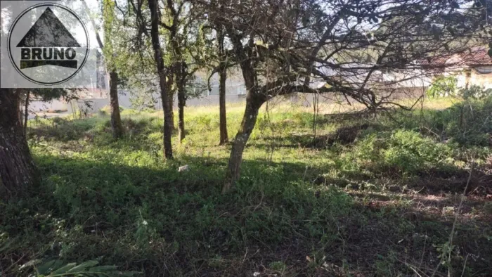 TERRENO COM 507,00M2 EM PIRAQUARA PRÓXIMO A RUA ROD DEP JOAO LEOPOLDO JACOMEL