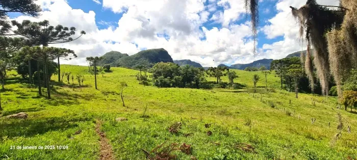 Fazenda em Alfredo Wagner- 113 ha -Serra Catarinense