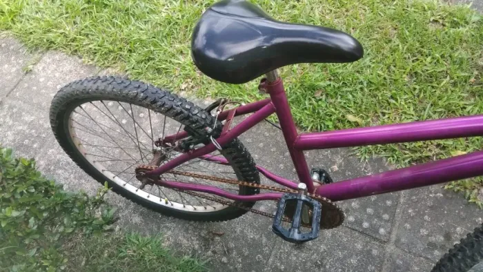 Bicicleta