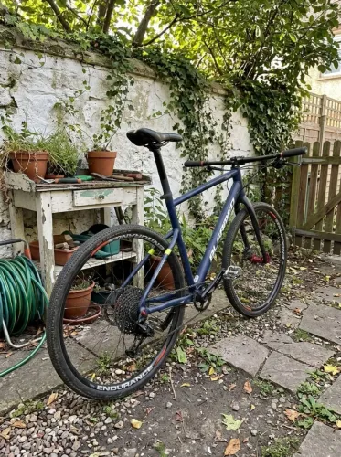 Vendo bike Alfamec Send