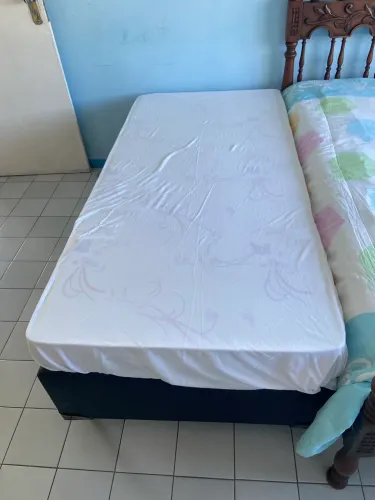 Cama