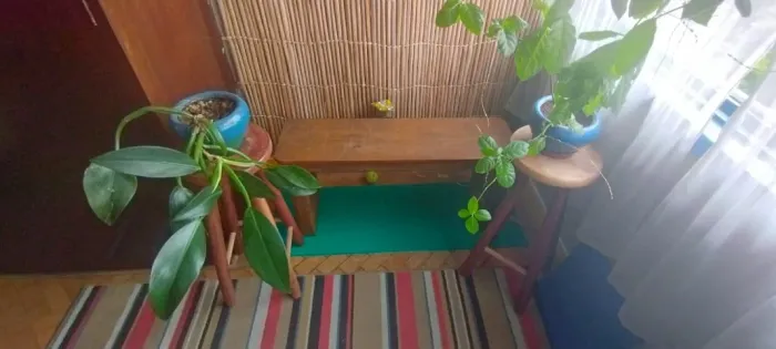 Kit 3 Bancos de madeira maciça R$100