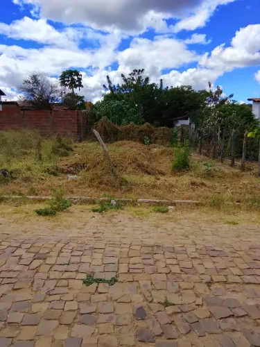 Terreno