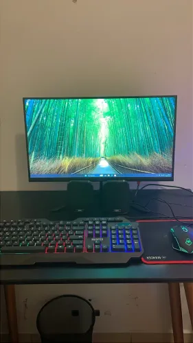 PC gamer Completo GTX 1650 + monitor + kit gamer (rodando tudo)